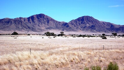Namibia 94