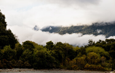 Morning lights in the mountain and his forest