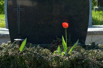 friedhof, grabdekoration