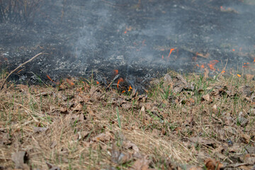 Ignition of dry grass is in the field. Fire by negligence