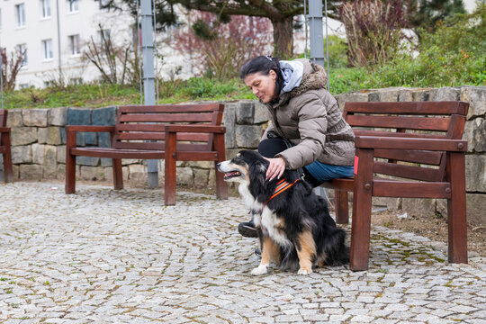 Eine Frau sitzt mit ihrem Hund im Park