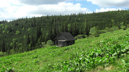 .Forester's hut