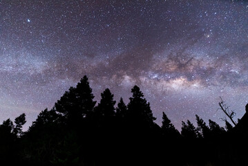 VIA LACTEA