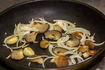 Oyster Mushroom Pleurotus ostreatus close up cooking in the fry pan