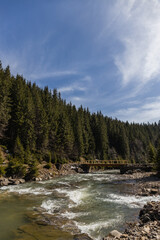 Mountain river with bridge and forest at background.