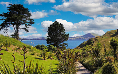 Fototapeta na wymiar Beautiful scenic hiking trail path through green landscape to sea lagoon, fluffy cumulus summer clouds - Karitane, New Zealand