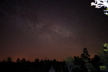 starry night sky