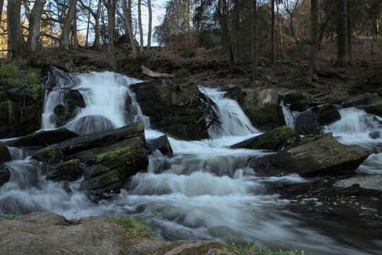 Selkefall