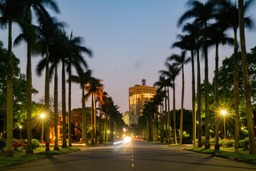 Night view of the NTU Palm Avenue