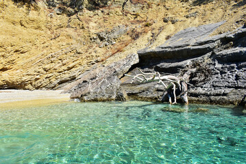 Wild beach in the Aegean Sea