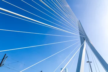 Crédence de cuisine en verre imprimé Rotterdam Erasmus Bridge in Rotterdam, the Netherlands