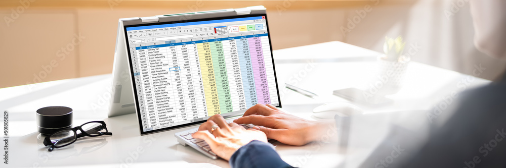 Poster Electronic Spreadsheet Analyst Or Auditor Using Software