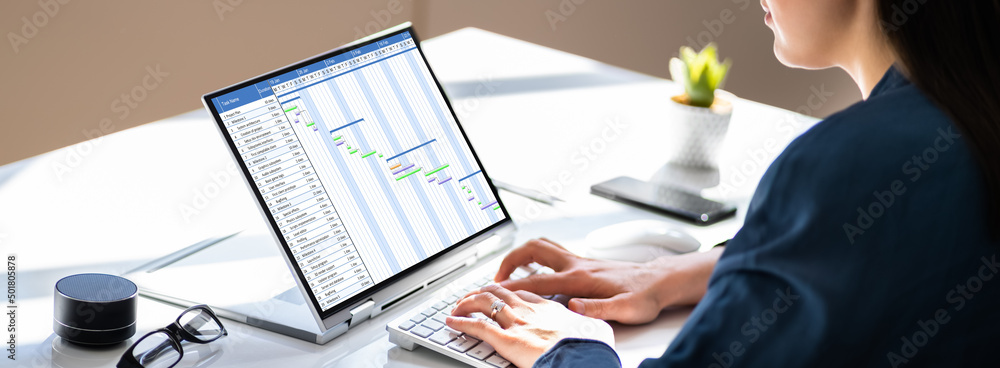 Poster gantt gantt software project