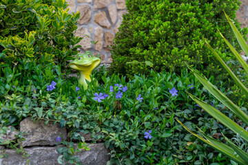  Garden figurine of a frog sitting against the background of a wall of old stone in green thickets with blue flowers in the foreground