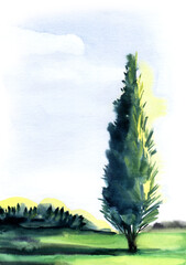 Hand drawn watercolor landscape.Pyramidal high tree. poplar, cypress on tall grass casts a shadow. blue sky day. Nature illustration on textured paper
