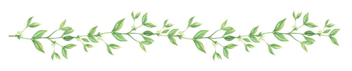 Elongated border decorative element. Long Mistletoe branch white berries, tiny leaves. Hand painted watercolor on paper illustration. Colorful light cartoon drawing isolated background