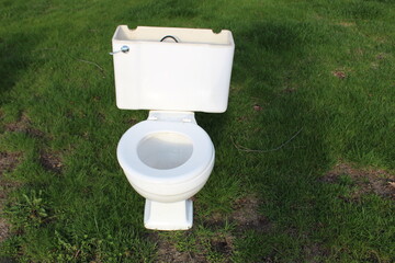 discarded toilet on a grass lawn