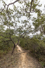 natural landscape of the city of São Gonçalo do Rio Preto, State of Minas Gerais, Brazil