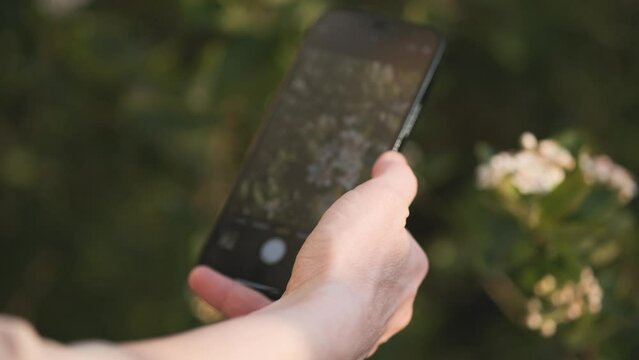 Woman dand holding smartphone take Photo of the nature. Takes photos with phone. Hand holding camera