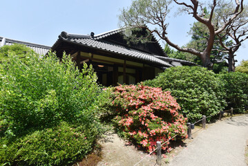 青蓮院　華頂殿　京都市東山区粟田口