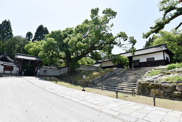青蓮院　長屋門とクスノキ　京都市東山区粟田口