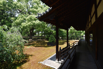 青蓮院　宸殿と庭　京都市東山区粟田口