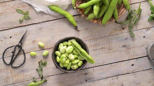 Fresh and raw green broad beans on wooden table.