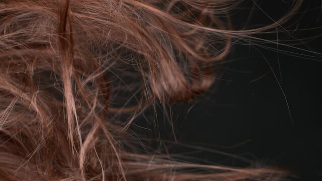 Super Slow Motion Shot of Waving Messy Brown Hair at 1000 fps.