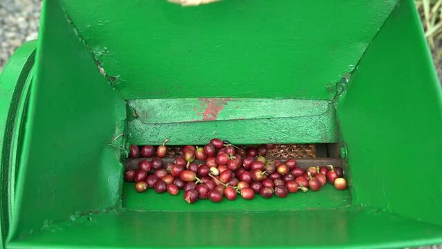 Caf&eacute; Colombiano - Moler