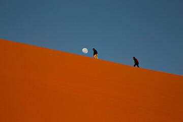 Naklejka na ściany i meble People walk on the dune in the Kalahari Desert, Namibia.