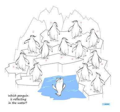 Logic puzzle game for children and adults. Which penguin is reflecting in the water? Page for brain teaser book. Developing kids spatial thinking. Task for attentiveness. Vector illustration.
