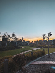 scenic view of field against clear sky during sunset