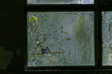 Detail of broken window looking outside of an empty industrial building