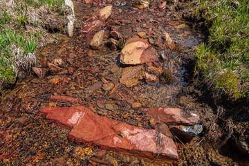 Sharp stone in clear water stream with motley stony bottom in sunlight. Colorful mountain stream with mineral water in bright sun. Picturesque top view to sunlit multicolor stones in spring water.