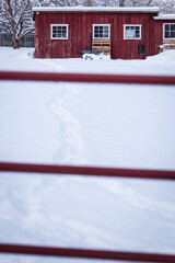 A Red Shed in the Heart of Winter with a Path from the Gate to the Building