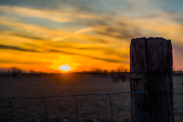sunset over a field