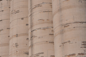concrete silos background © eugen