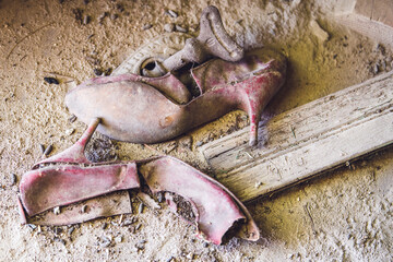High Heels Collect Dust on the Floor of a Condemned House