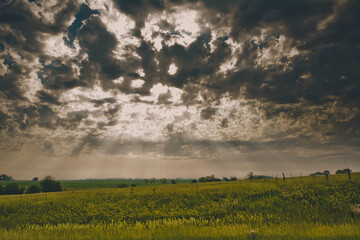 Sun rays over a field