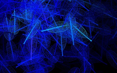 Dark BLUE vector elegant template with leaves.