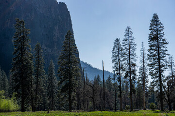 Yosemite national park