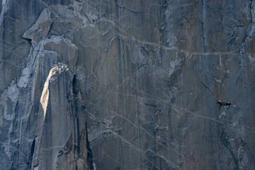 Climbers on dawn wall el capitan yosemite national park