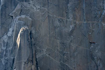 Foto op Aluminium Climbers on dawn wall el capitan yosemite national park © Christopher