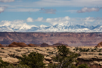 Canyonlands and the La Sal Mountains