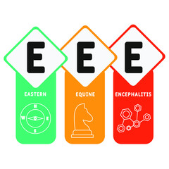EEE Eastern Equine Encephalitis  acronym. business concept background.  vector illustration concept with keywords and icons. lettering illustration with icons for web banner, flyer, landing pag