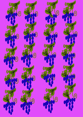 grape, fruit, food, print, ilustrationvector