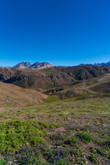 Paisaje de monta&ntilde;a