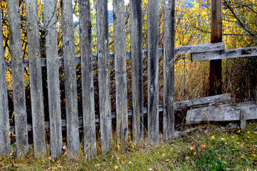 old wooden fence with grass