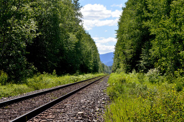 Obraz premium railway through the forest