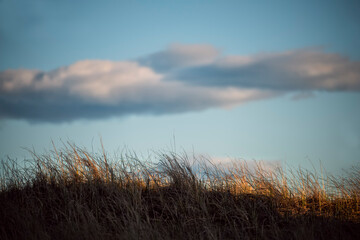 Dry grass and clouds at sunset. Minimalism of nature.